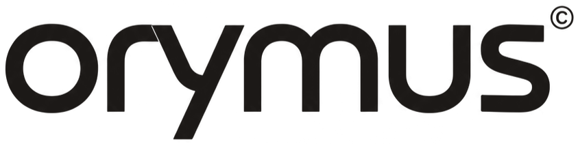 Orymus